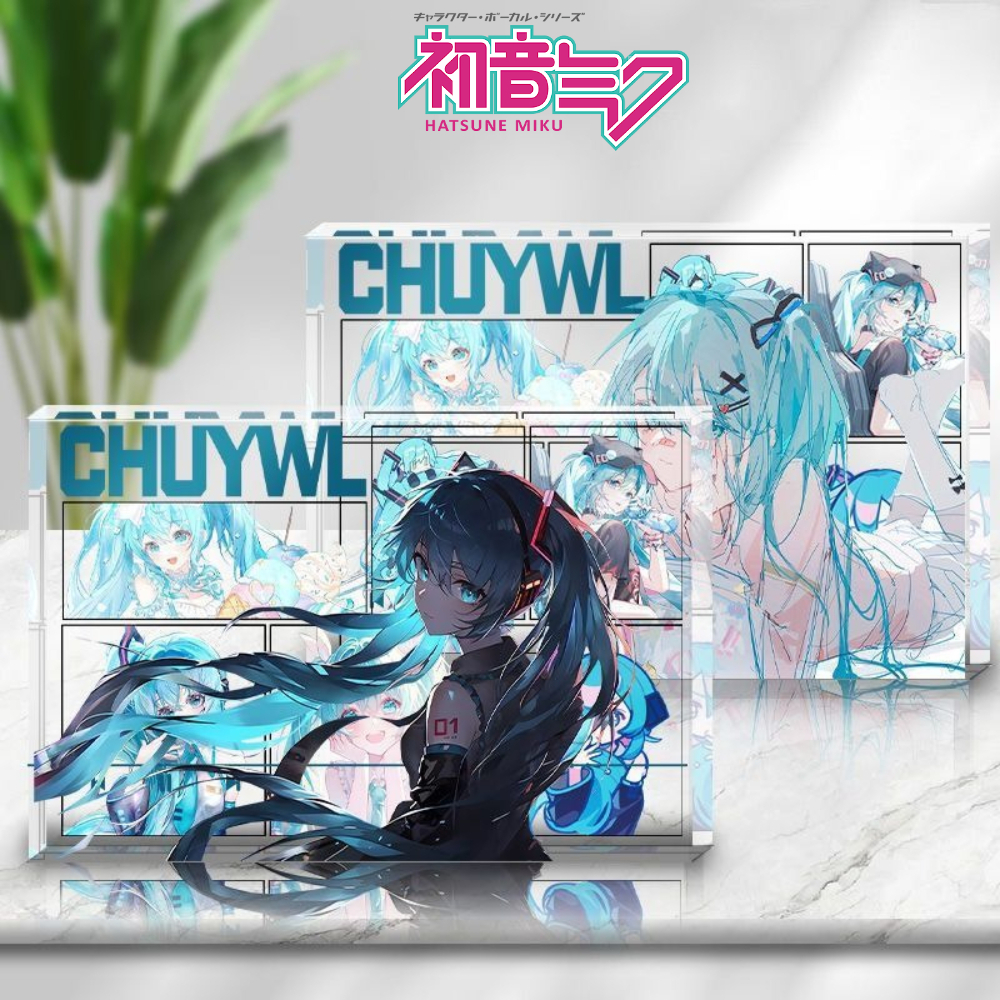 Hatsune Miku Anime Merch Photo - Anime Cosplay In Japan review and price