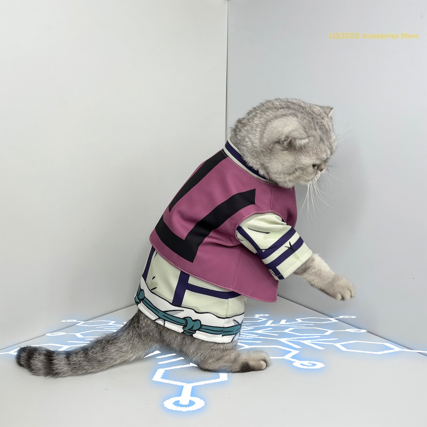 Douma Series Cosplay Costume C - Anime Cosplay Cat review and price